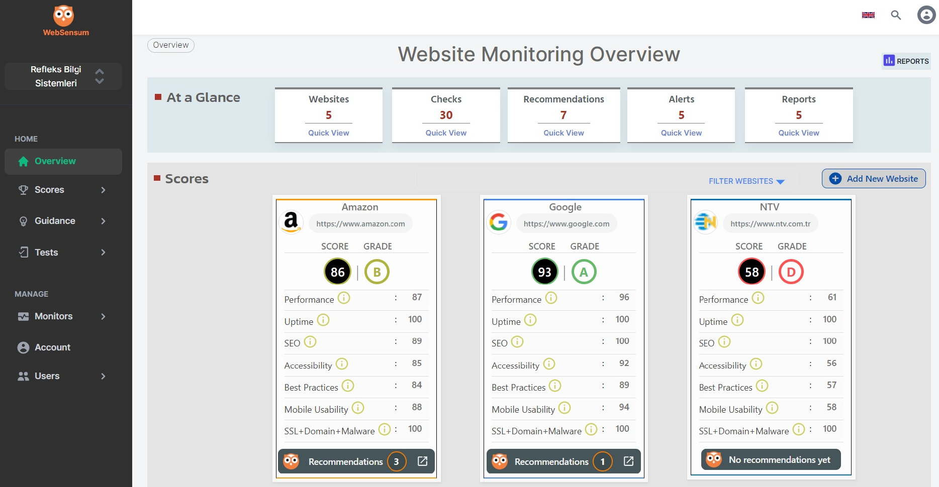 Website Monitoring
